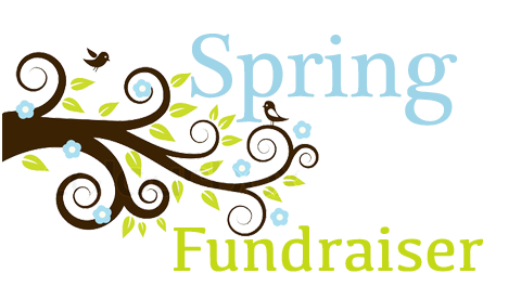 You are currently viewing 7 Ideas as You Plan Your Spring Fundraiser